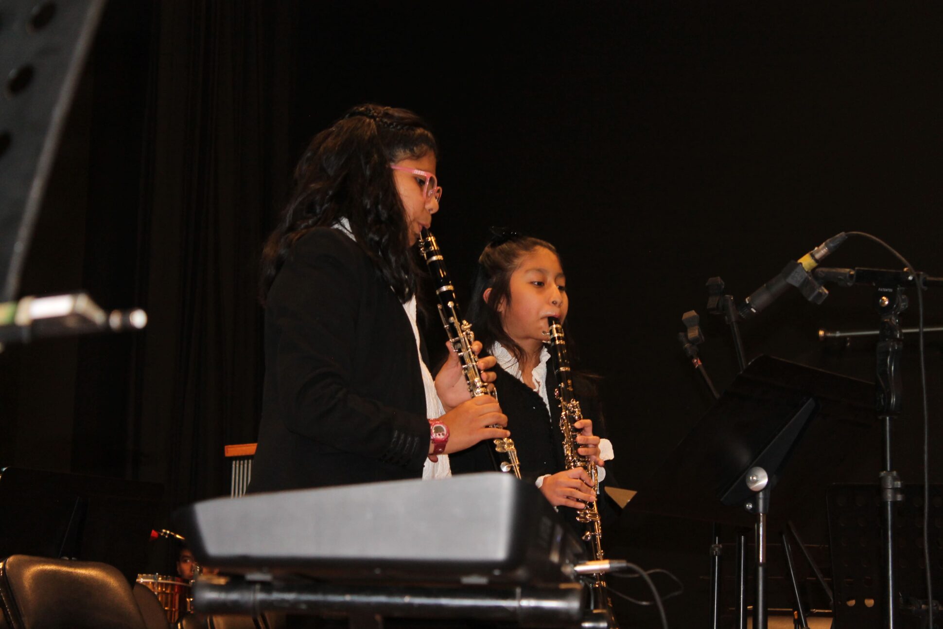 Concierto por la Paz