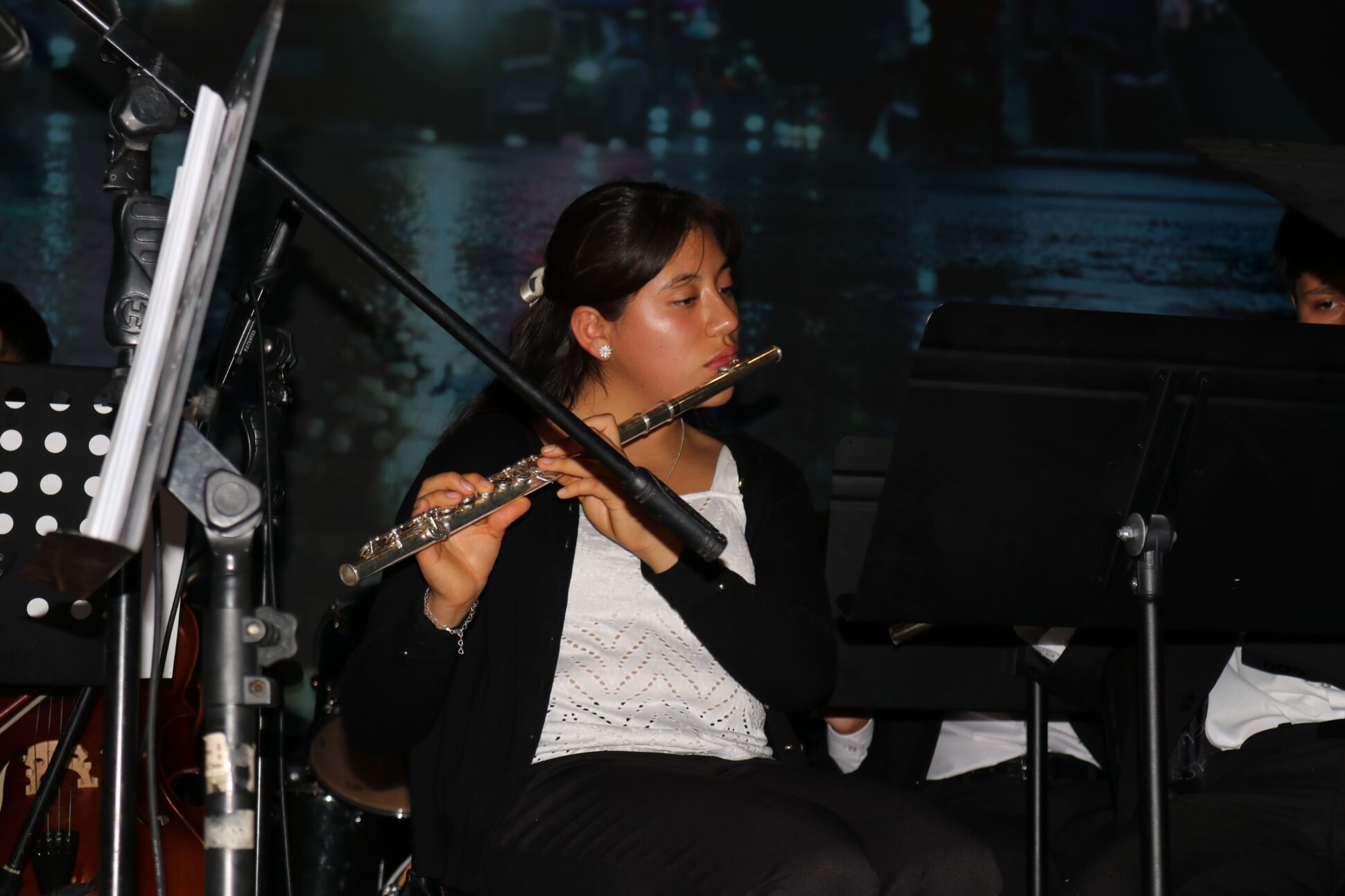 Concierto por la Paz